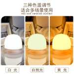 눈 보호 연구 매달려 충전식 모델 대학 기숙사 조명 야간 조명 침대가있는 야간 조명 기숙사 침대의 그림