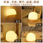 눈 보호 연구 매달려 충전식 모델 대학 기숙사 조명 야간 조명 침대가있는 야간 조명 기숙사 침대의 그림