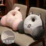 여름 아이스 콩 요추 쿠션 요추 베개의 그림