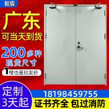 강철 클래스 A 방화문 공장 직접 맞춤형 강철 방화문 스테인레스 스틸 방화문 소방 공학 문의 그림