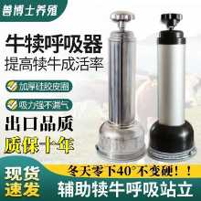 10년 보증 젖소 송아지 호흡기의 그림