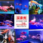 어항 조명 LED 램프 다이빙 램프 잉어 특수 램프는 색상을 향상시키고 매우 밝습니다.의 그림