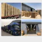 물류, 수출, 보관 및 운송용 무훈증 목재 팔레트, 합판, 지게차용 원목 팔레트 및 바닥재.의 그림