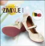 ZiMiXue 댄스 슈즈의 그림