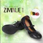 ZiMiXue 댄스 슈즈의 그림