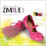 ZiMiXue 댄스 슈즈의 그림