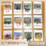 몬테소리 동물 카드 모형 장난감 학습 유아 학습 장난감 몬테소리 동물 경기의 그림