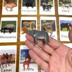 몬테소리 동물 카드 모형 장난감 학습 유아 학습 장난감 몬테소리 동물 경기의 그림