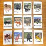 몬테소리 동물 카드 모형 장난감 학습 유아 학습 장난감 몬테소리 동물 경기의 그림