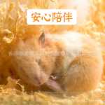 나무 부스러기 탈취제의 그림