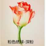 가격 차이 내부 공급 상품 VIP 상품 대형 판매자 내부 공급 국경 간 공급의 그림