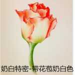 가격 차이 내부 공급 상품 VIP 상품 대형 판매자 내부 공급 국경 간 공급의 그림