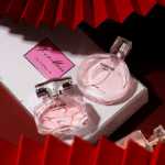 샤오 청이 샹 샹 샹 샹 향수 세 세트 여성 향수 선물 세트 신선한 지속 오 드 뚜왈렛 도매의 그림