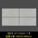 불산 야외 타일 빌라 프로젝트 정원 생태 포장 석재 석영 타일 모조 화강암 슬래브 타일의 그림