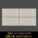 불산 야외 타일 빌라 프로젝트 정원 생태 포장 석재 석영 타일 모조 화강암 슬래브 타일의 그림