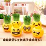 크리에이티브 사무실 화분 긴 잔디 머리 인형 멋진 표현 DIY 유리 병 음이온 미니 심기 선물의 그림