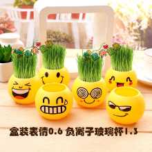 크리에이티브 사무실 화분 긴 잔디 머리 인형 멋진 표현 DIY 유리 병 음이온 미니 심기 선물의 그림