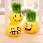 크리에이티브 사무실 화분 긴 잔디 머리 인형 멋진 표현 DIY 유리 병 음이온 미니 심기 선물의 그림