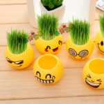 크리에이티브 사무실 화분 긴 잔디 머리 인형 멋진 표현 DIY 유리 병 음이온 미니 심기 선물의 그림