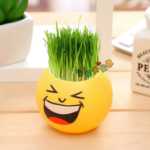 크리에이티브 사무실 화분 긴 잔디 머리 인형 멋진 표현 DIY 유리 병 음이온 미니 심기 선물의 그림