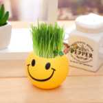 크리에이티브 사무실 화분 긴 잔디 머리 인형 멋진 표현 DIY 유리 병 음이온 미니 심기 선물의 그림