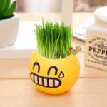 크리에이티브 사무실 화분 긴 잔디 머리 인형 멋진 표현 DIY 유리 병 음이온 미니 심기 선물의 그림