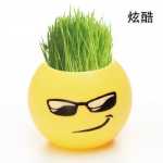 크리에이티브 사무실 화분 긴 잔디 머리 인형 멋진 표현 DIY 유리 병 음이온 미니 심기 선물의 그림