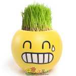 크리에이티브 사무실 화분 긴 잔디 머리 인형 멋진 표현 DIY 유리 병 음이온 미니 심기 선물의 그림