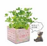 크리에이티브 사무실 화분 긴 잔디 머리 인형 멋진 표현 DIY 유리 병 음이온 미니 심기 선물의 그림