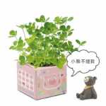 크리에이티브 사무실 화분 긴 잔디 머리 인형 멋진 표현 DIY 유리 병 음이온 미니 심기 선물의 그림