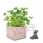 크리에이티브 사무실 화분 긴 잔디 머리 인형 멋진 표현 DIY 유리 병 음이온 미니 심기 선물의 그림