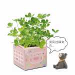 크리에이티브 사무실 화분 긴 잔디 머리 인형 멋진 표현 DIY 유리 병 음이온 미니 심기 선물의 그림