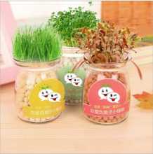 음이온 수경 재배 화분을 소중히 여기는 DIY 식물 크리에이티브 사무실 데스크탑 마이크로 조경 선물 화분 잔디 인형의 그림