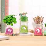 음이온 수경 재배 화분을 소중히 여기는 DIY 식물 크리에이티브 사무실 데스크탑 마이크로 조경 선물 화분 잔디 인형의 그림