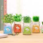 음이온 수경 재배 화분을 소중히 여기는 DIY 식물 크리에이티브 사무실 데스크탑 마이크로 조경 선물 화분 잔디 인형의 그림