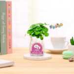 음이온 수경 재배 화분을 소중히 여기는 DIY 식물 크리에이티브 사무실 데스크탑 마이크로 조경 선물 화분 잔디 인형의 그림