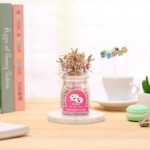 음이온 수경 재배 화분을 소중히 여기는 DIY 식물 크리에이티브 사무실 데스크탑 마이크로 조경 선물 화분 잔디 인형의 그림