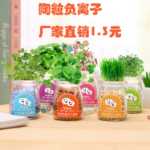 음이온 수경 재배 화분을 소중히 여기는 DIY 식물 크리에이티브 사무실 데스크탑 마이크로 조경 선물 화분 잔디 인형의 그림