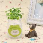 음이온 수경 재배 화분을 소중히 여기는 DIY 식물 크리에이티브 사무실 데스크탑 마이크로 조경 선물 화분 잔디 인형의 그림