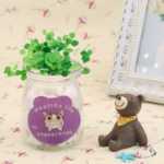 음이온 수경 재배 화분을 소중히 여기는 DIY 식물 크리에이티브 사무실 데스크탑 마이크로 조경 선물 화분 잔디 인형의 그림