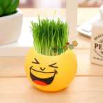 음이온 수경 재배 화분을 소중히 여기는 DIY 식물 크리에이티브 사무실 데스크탑 마이크로 조경 선물 화분 잔디 인형의 그림