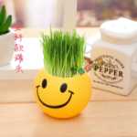 음이온 수경 재배 화분을 소중히 여기는 DIY 식물 크리에이티브 사무실 데스크탑 마이크로 조경 선물 화분 잔디 인형의 그림