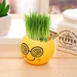 음이온 수경 재배 화분을 소중히 여기는 DIY 식물 크리에이티브 사무실 데스크탑 마이크로 조경 선물 화분 잔디 인형의 그림