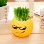 음이온 수경 재배 화분을 소중히 여기는 DIY 식물 크리에이티브 사무실 데스크탑 마이크로 조경 선물 화분 잔디 인형의 그림