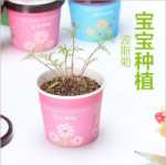 음이온 수경 재배 화분을 소중히 여기는 DIY 식물 크리에이티브 사무실 데스크탑 마이크로 조경 선물 화분 잔디 인형의 그림