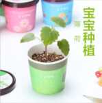 음이온 수경 재배 화분을 소중히 여기는 DIY 식물 크리에이티브 사무실 데스크탑 마이크로 조경 선물 화분 잔디 인형의 그림