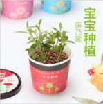 음이온 수경 재배 화분을 소중히 여기는 DIY 식물 크리에이티브 사무실 데스크탑 마이크로 조경 선물 화분 잔디 인형의 그림