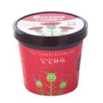 크리 에이 티브 미니 녹색 화분 사무실 작은 식물 심기 데스크탑 아기 DIY 녹지 오프닝 선물 K의 그림