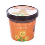 크리 에이 티브 미니 녹색 화분 사무실 작은 식물 심기 데스크탑 아기 DIY 녹지 오프닝 선물 K의 그림