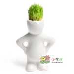 원피스 DIY 사무실 미니 식물 화분 잔디 성장하는 작은 백인 잔디 인형 X 연인 선물의 그림